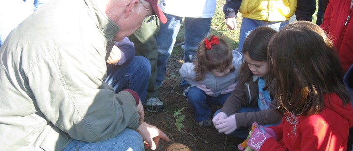 Teaching about Trees