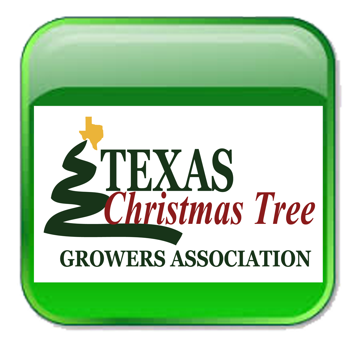 Texas Christmas Tree Farms