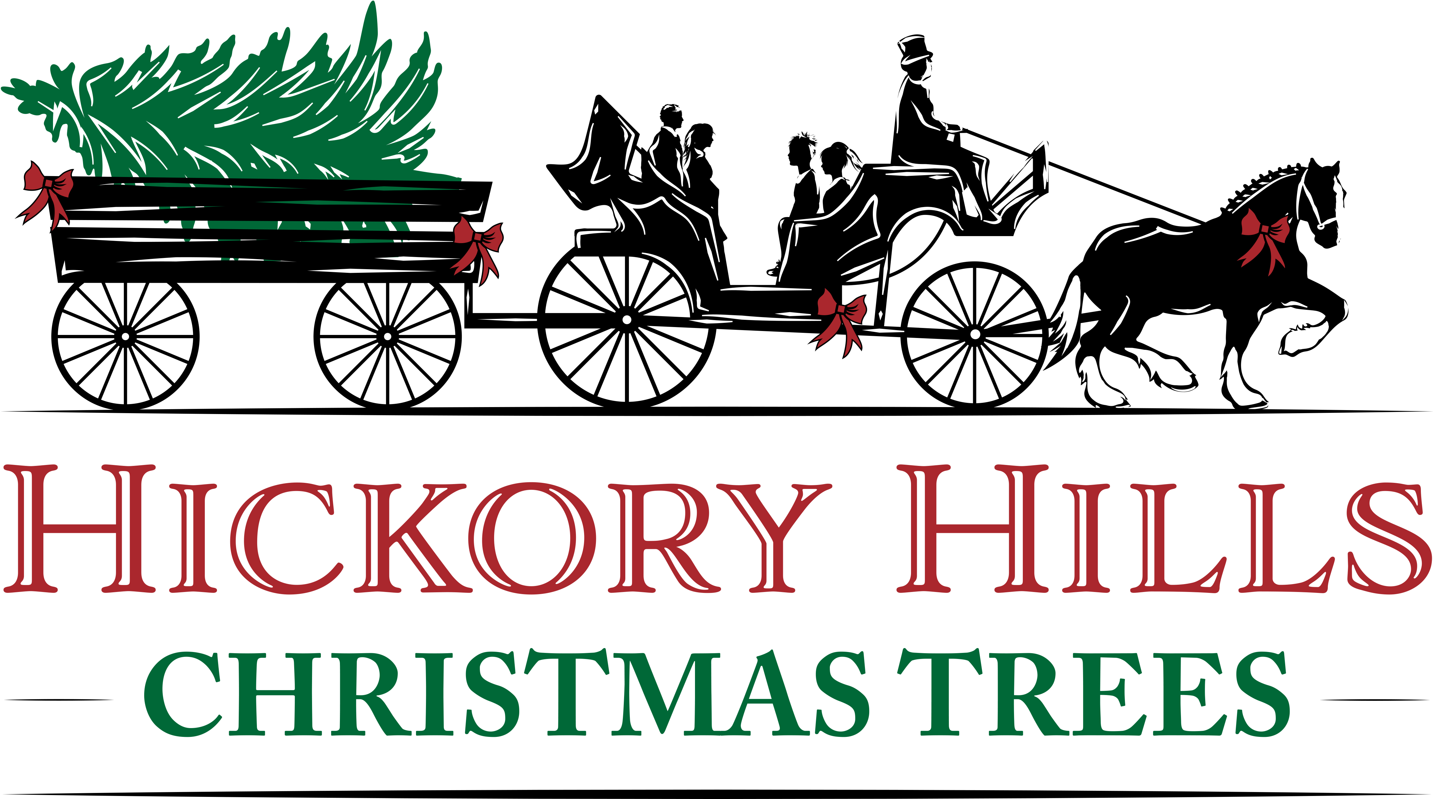 Hickory JHills Christmas Trees