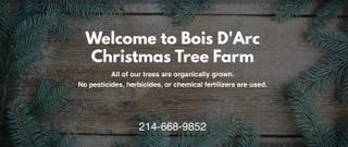 Bois D'Arc Christmas Tree Farm Logo
