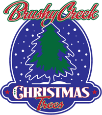 Brushy Creek Christmas Trees Logo