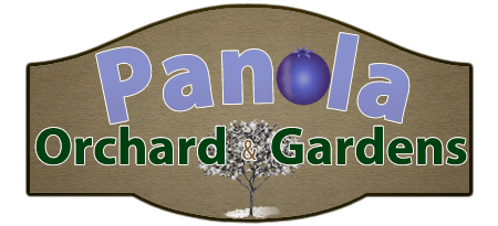 Panola Orchard & Gardens Logo
