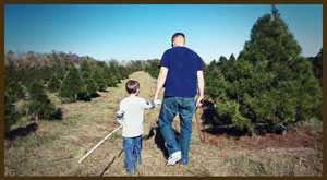 Facts About Texas Trees